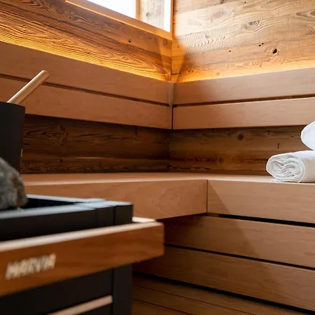 Ostseecamp Luebecker Bucht Seemoewe Scharbeutz