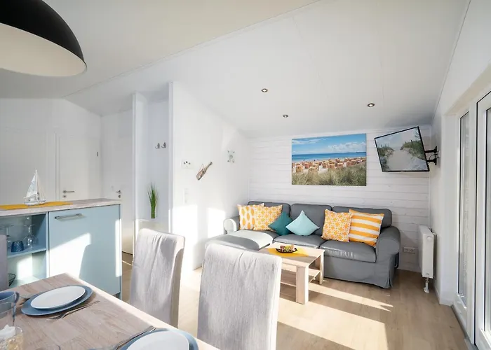 Ostseecamp Luebecker Bucht Seemoewe