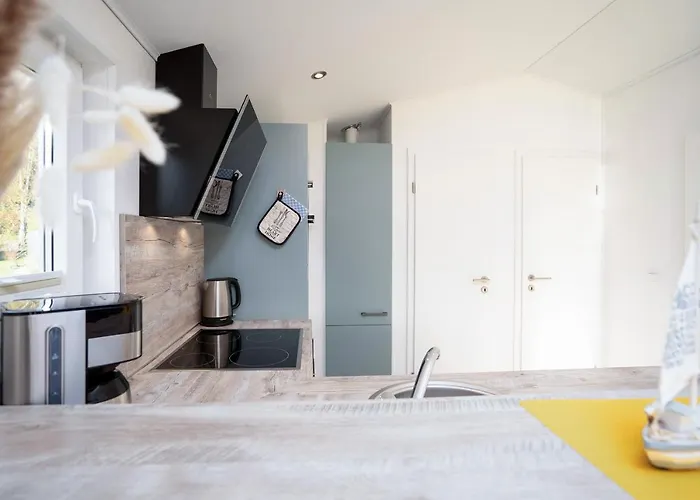 Ostseecamp Luebecker Bucht Seemoewe *