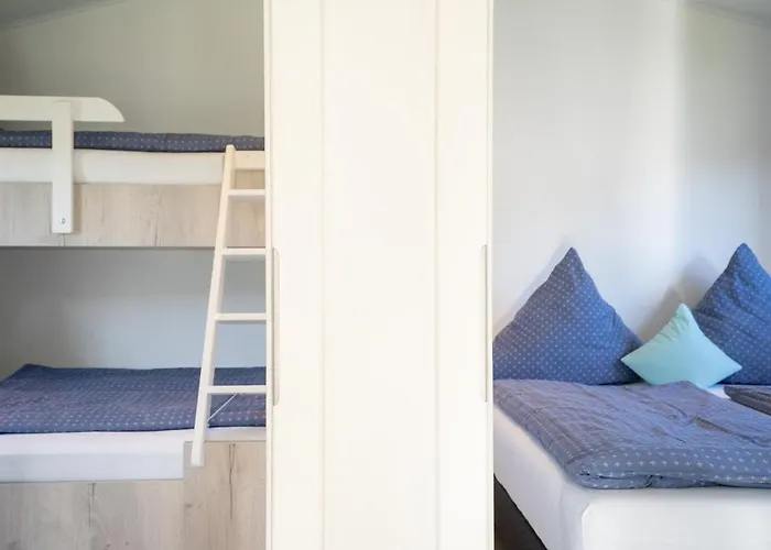 Ostseecamp Luebecker Bucht Seemoewe *