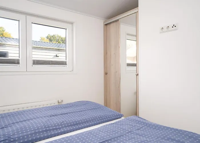 Ostseecamp Luebecker Bucht Seemoewe *