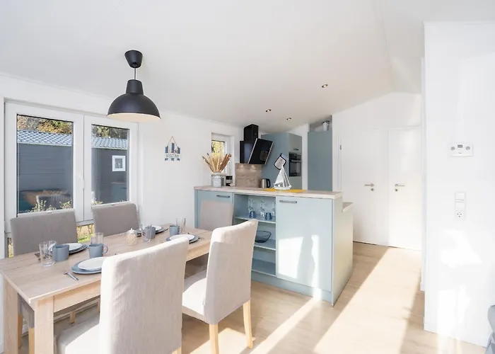 Ostseecamp Luebecker Bucht Seemoewe Scharbeutz