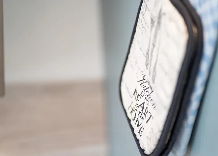 Ostseecamp Luebecker Bucht Seemoewe