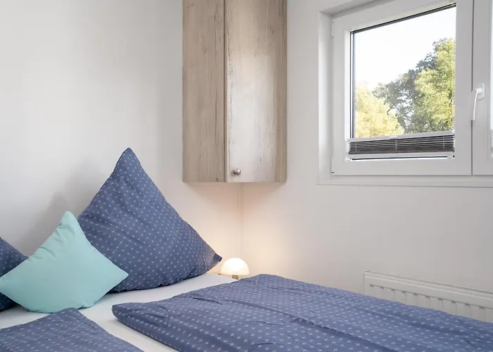 Ostseecamp Luebecker Bucht Seemoewe Scharbeutz