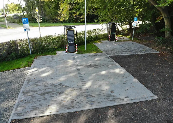 Ostseecamp Luebecker Bucht Seemoewe